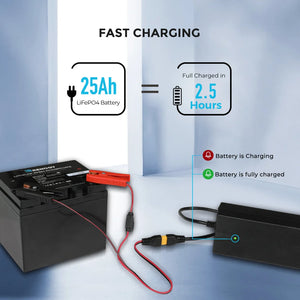 Renogy 24V 10A AC to DC Lithium Iron Phosphate Battery Charger