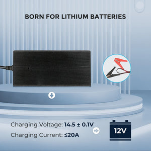 Renogy 12V 20A AC to DC Lithium Iron Phosphate Battery Charger