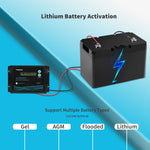 Renogy Voyager 20A PWM Waterproof Solar Charge Controller